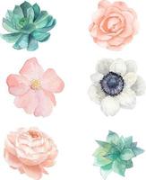 Watercolor Flower Illustration vector