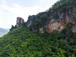 Bamboo forest on the mountain cliff with green tree, nature mountain rock stone beautiful in the forest photo