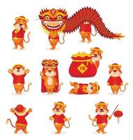 Set of red Chinese tigers in New Year's costumes with lanterns and dragons in cartoon style. Symbol 2022 vector