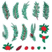 Set of branches of coniferous trees. pine, spruce, juniper, holly. Coniferous berries, pine cone. Winter Christmas elements for decor vector