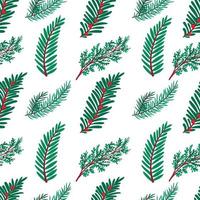 Seamless patrons with fir branches, juniper branches, berries and cones vector