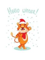 greeting card with the inscription hello winter with a cute chinese tiger, the symbol of the new year. flat style. a tiger in a New Year's hat and a red scarf rejoices and smiles, waving his paw vector