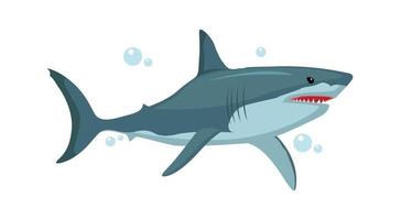 vector ilustración de personaje de tiburón