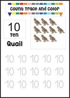 number trace and color quail. count quail vector