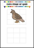 copy the picture quail animal character vector