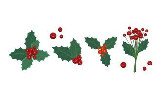 conjunto de decoraciones festivas de ramitas con frutos rojos y hojas de acebo. decoración tradicional para navidad y año nuevo. vector ilustración plana