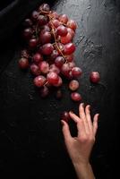 Mano de mujer sosteniendo una uva de un racimo de uvas rojas vista superior sobre fondo oscuro foto