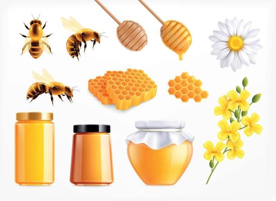 Honey Realistic Icon Set