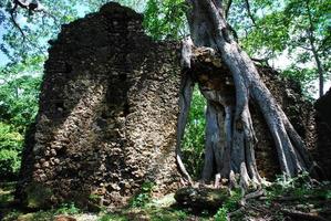 Gedi Ruins, Kenya