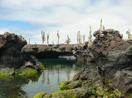 túneles de lava, isla isabela, galápagos foto