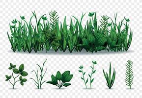 conjunto de hierba verde realista vector