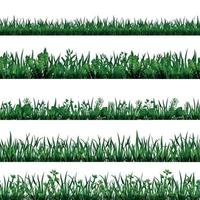 Green Grass Border Set vector