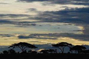 puesta de sol sobre las llanuras de africa foto