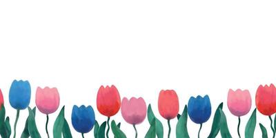 Ilustración vectorial de borde de tiernos tulipanes de acuarela de colores sobre fondo blanco. vector