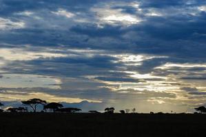 Sunset over the plains of Africa photo