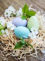 Nest with easter eggs photo