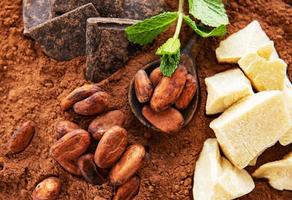 Cocoa beans and cocoa powder photo