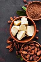 Cocoa beans, powder and cocoa butter photo