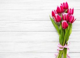 tulipanes de primavera rosa foto