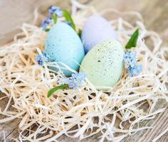 Nest with easter eggs photo