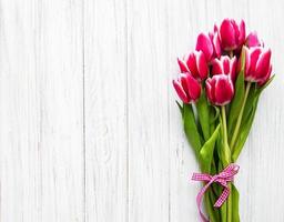 tulipanes de primavera rosa foto