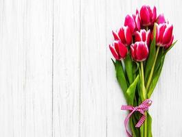 tulipanes de primavera rosa foto