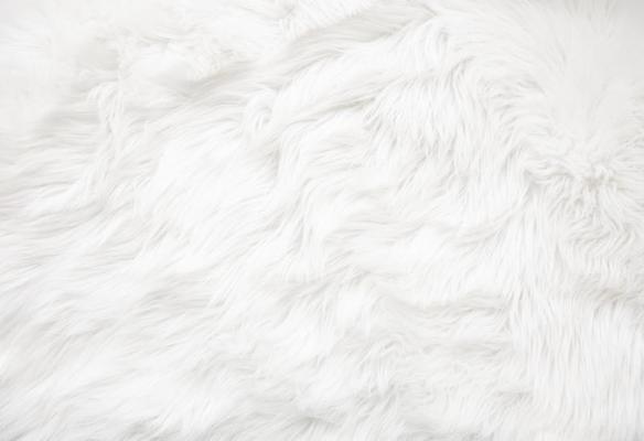 White Fur Images – Browse 2,639,702 Stock Photos, Vectors, and Video