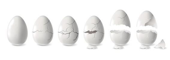 White Egg Set vector