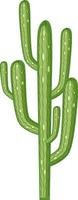Cactus saguaro aislado sobre fondo blanco.