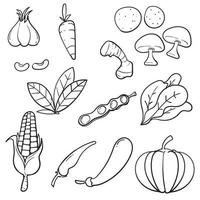 verduras dibujadas a mano doodle colección de dibujo. vegetales como zanahoria, maíz, jengibre, champiñones, pepino, repollo, patata, etc. vector icono
