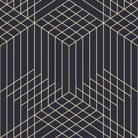 Classical luxury seamless pattern with geometric lines vector