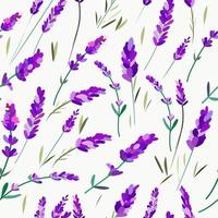 Seamless pattern with lavender flowers and sprigs vector