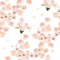 Seamless pattern with apple tree flowers on a white background vector