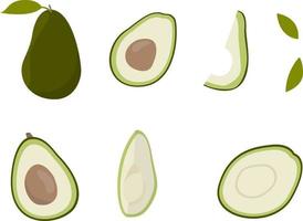 Collection of avocado illustrations isolated on white background. Vegan set food for vegetarian. Slice and whole fruit, leaf. vector