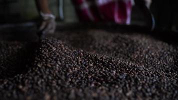 procesamiento de granos de café arábica tostado medio video