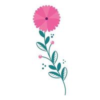 cute flower with branch and leafs isolated icon vector