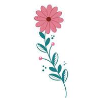 cute flower with branch and leafs isolated icon vector