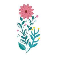 cute flower with branches and leafs isolated icon vector