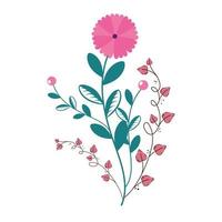 cute flower with branches and leafs isolated icon vector