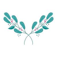 branches with leafs nature and seeds vector