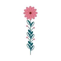 cute flower with branch and leafs isolated icon vector