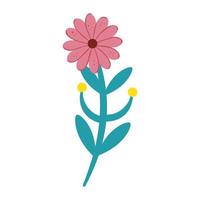 cute flower with branch and leafs isolated icon vector