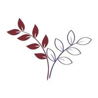 branches with leafs nature isolated icon vector
