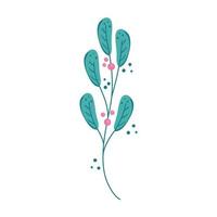 branch with leafs nature and seeds vector