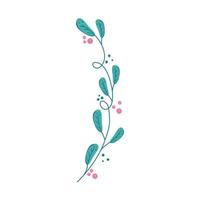 branch with leafs nature and seeds vector