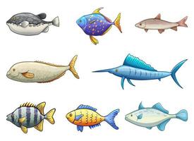 Ilustración de diseño de vector de dibujo de pescado aislado sobre fondo blanco
