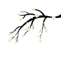 tree branch plant with flowers vector