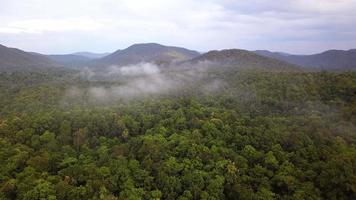 Aerial 4k footage from a drone above a tropical rain forest in Thailand. video