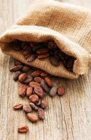 Raw cacao beans photo