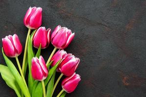 tulipanes de primavera rosa foto